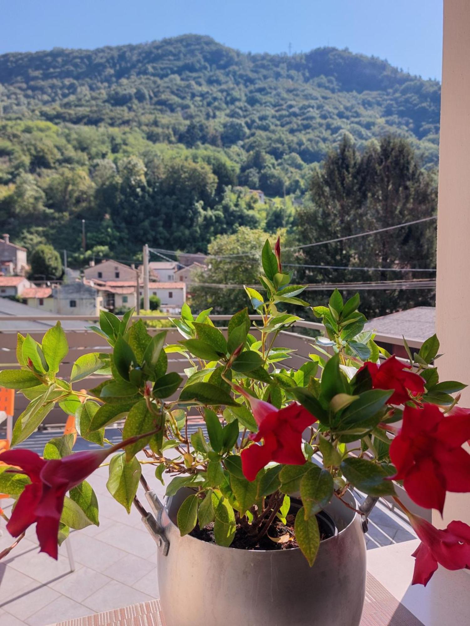 Appartamento Augusta Vittorio Veneto Exteriér fotografie
